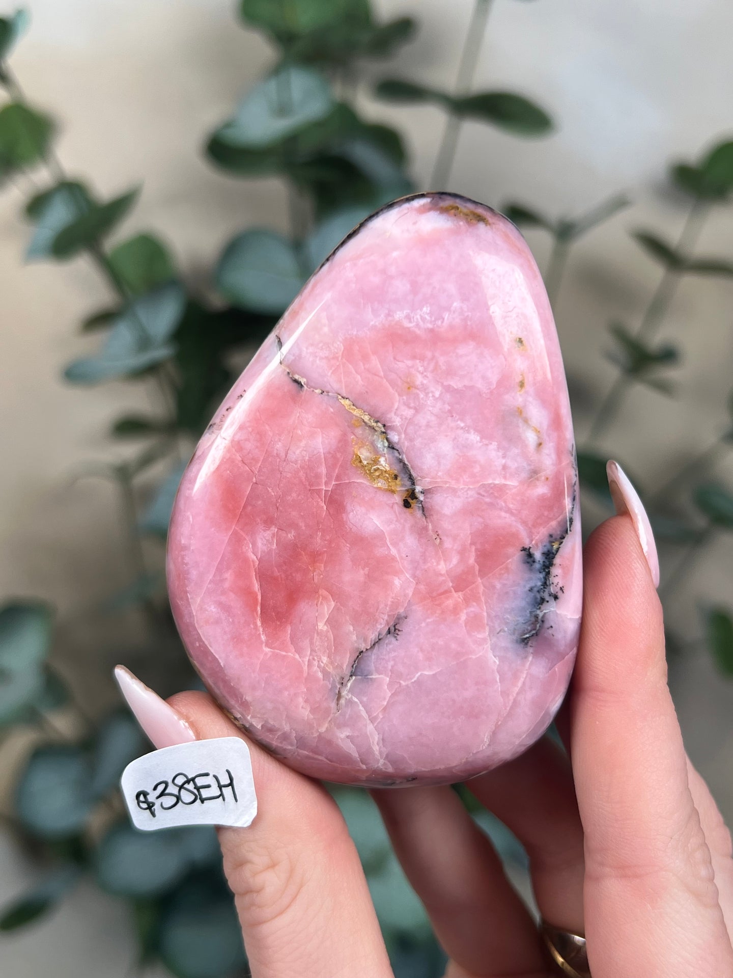 Strawberry Opal Palms (4 options)